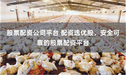 股票配资公司平台 配资选优股，安全可靠的股票配资平台