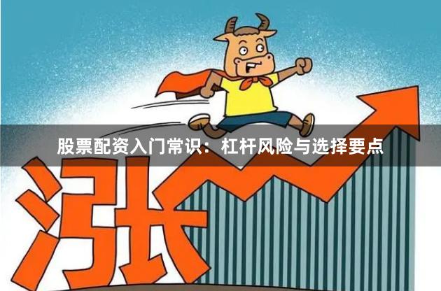 股票配资入门常识：杠杆风险与选择要点