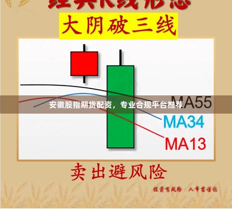 安徽股指期货配资，专业合规平台推荐